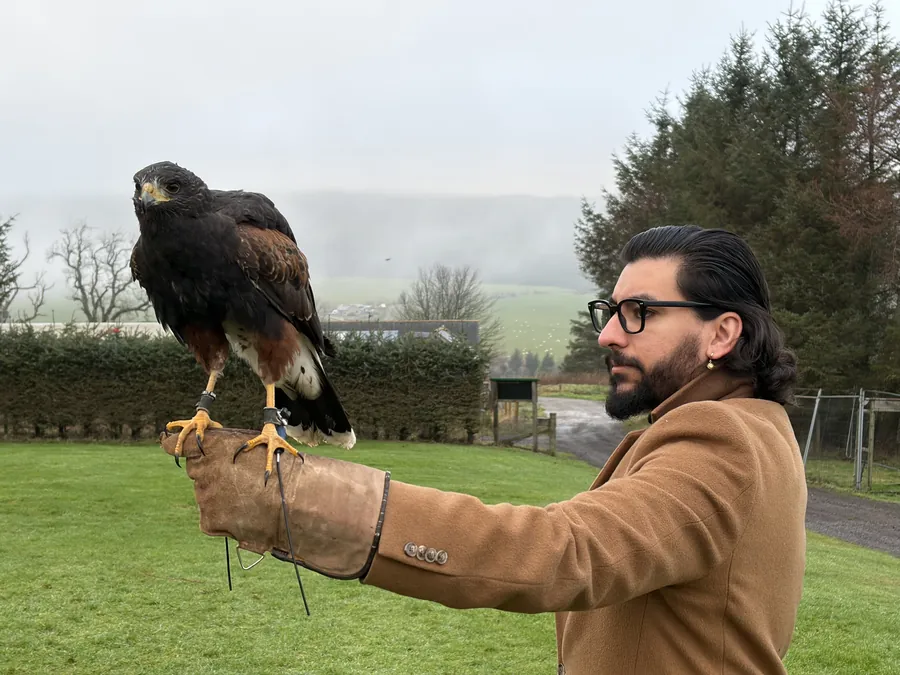 Learning falconry in Speyside, Scotland